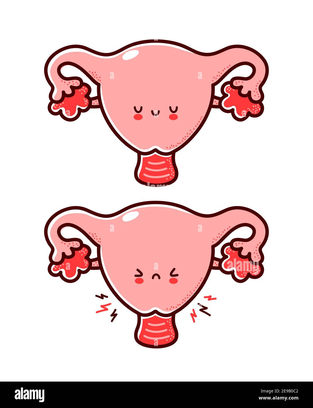 Detail Gambar Organ Uterus Nomer 17