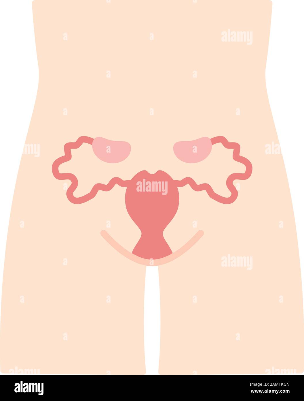 Detail Gambar Organ Uterus Nomer 42