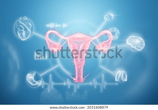 Detail Gambar Organ Uterus Nomer 50