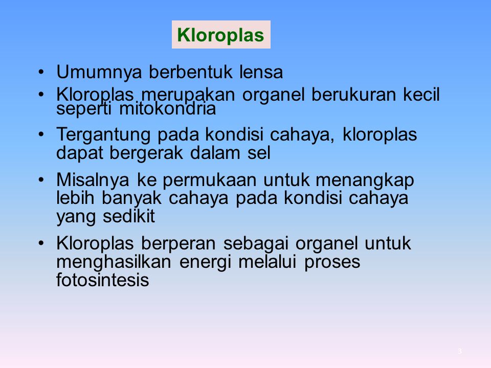 Detail Gambar Organel Kloroplas Nomer 48