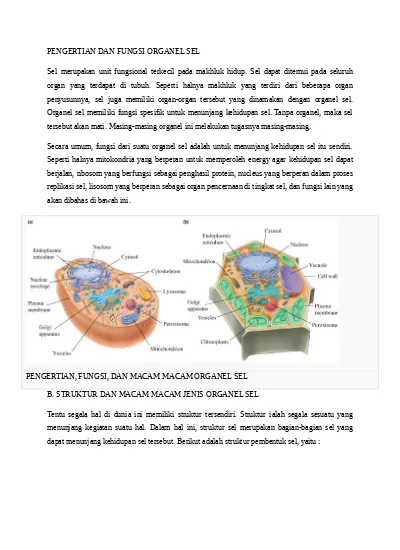 Detail Gambar Organel Organel Sel Nomer 38