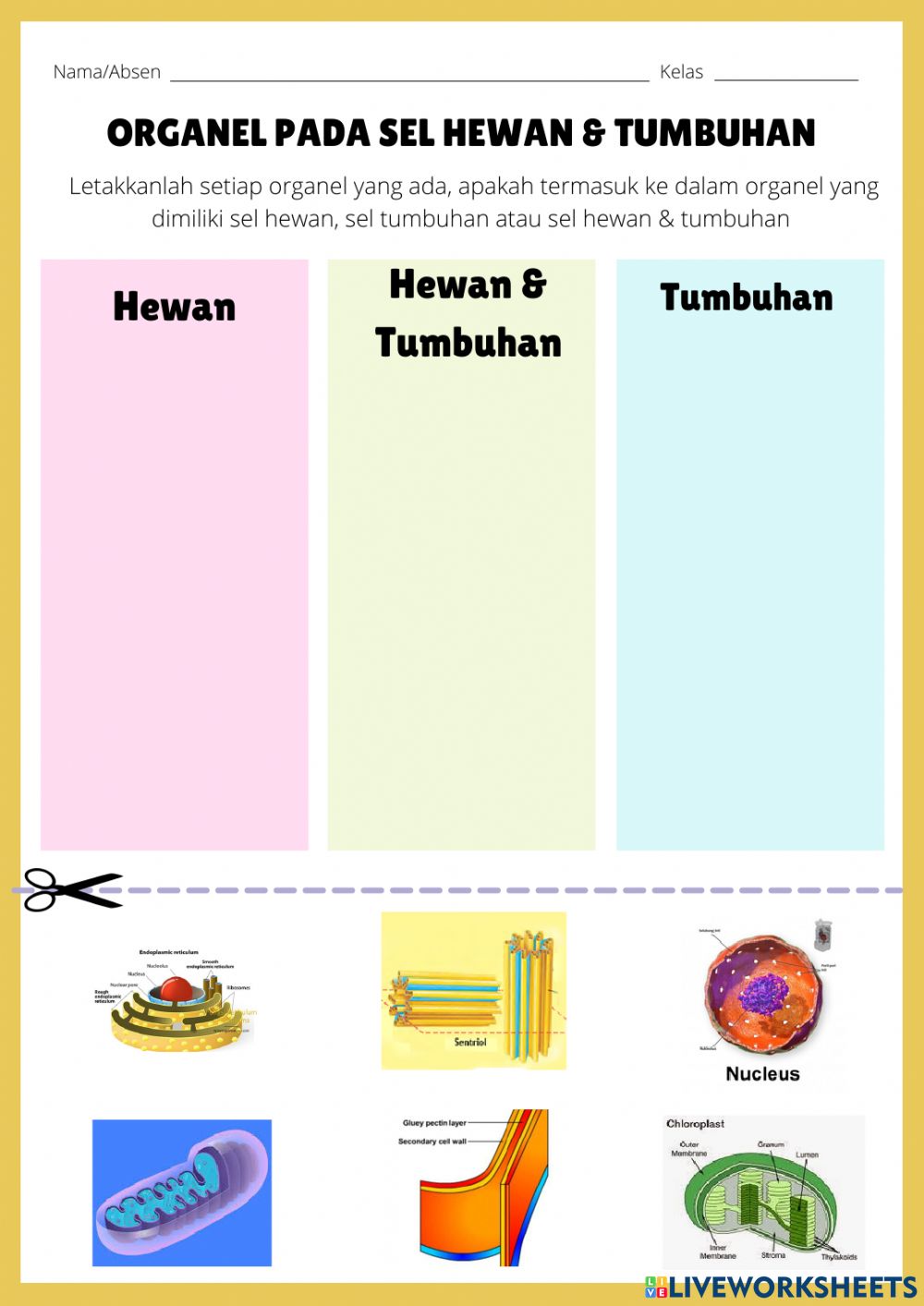 Detail Gambar Organel Sel Hewan Dan Tumbuhan Nomer 47