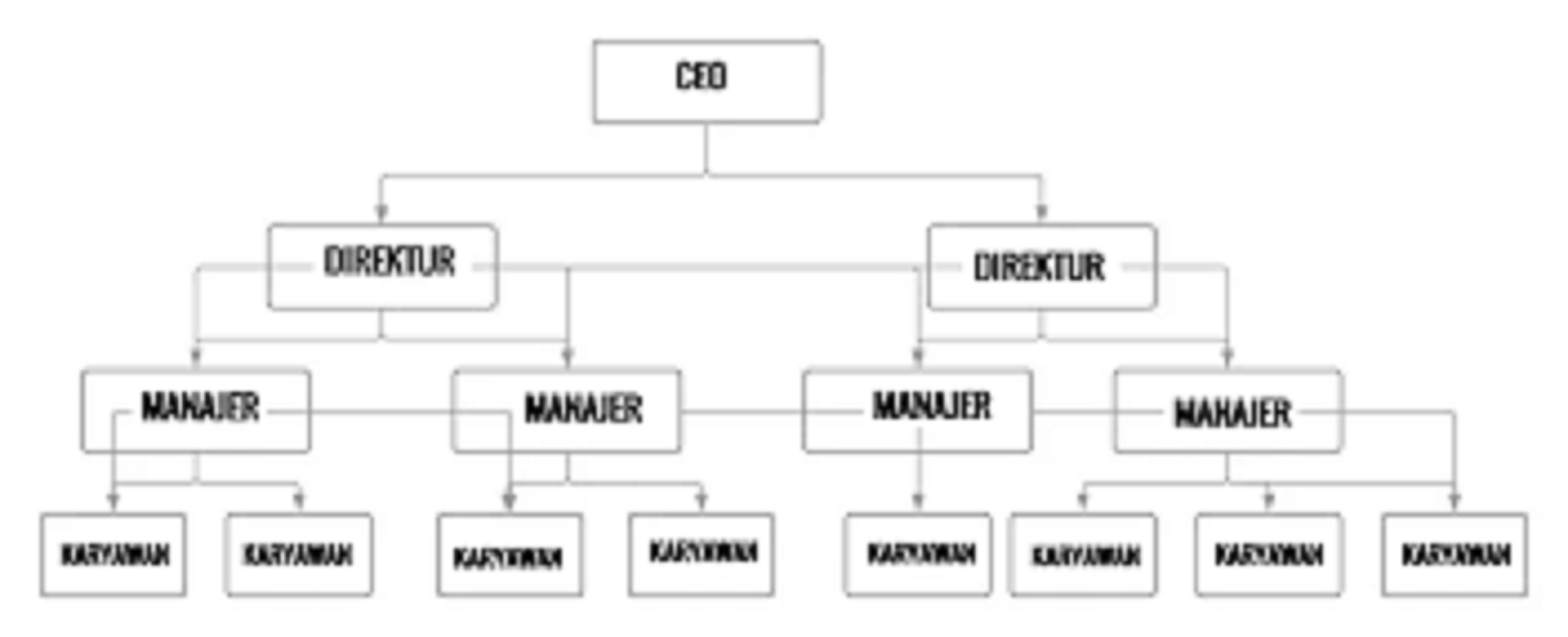 Detail Gambar Organisasi Lini Nomer 3