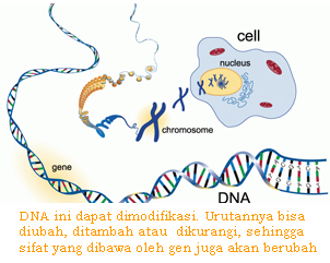 Detail Gambar Organisme Transgenik Nomer 12