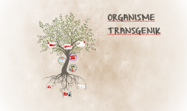 Detail Gambar Organisme Transgenik Nomer 2
