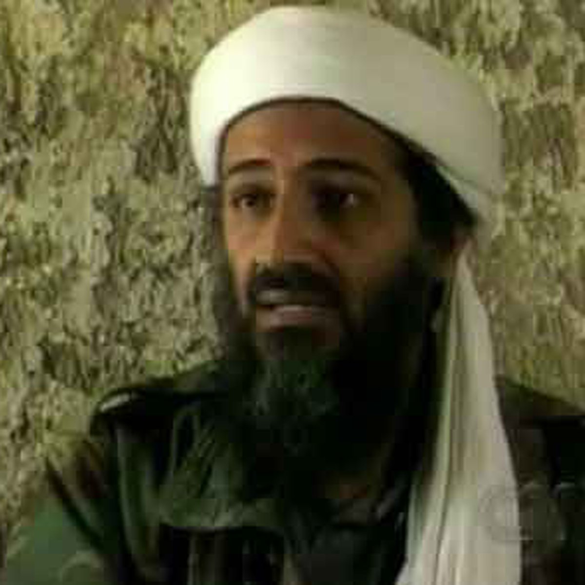 Detail Gambar Osama Bin Laden Nomer 7