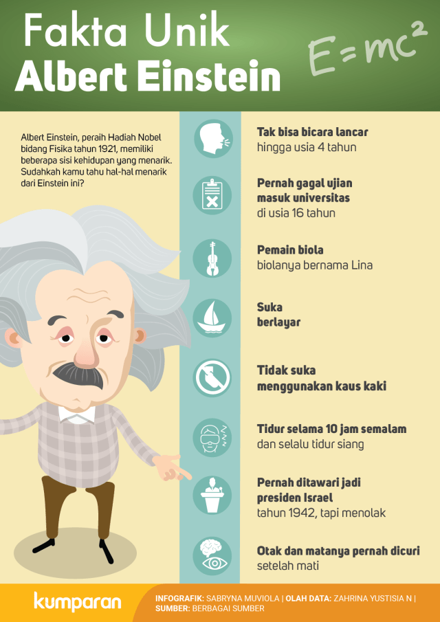 Detail Gambar Otak Albert Einstein Nomer 26