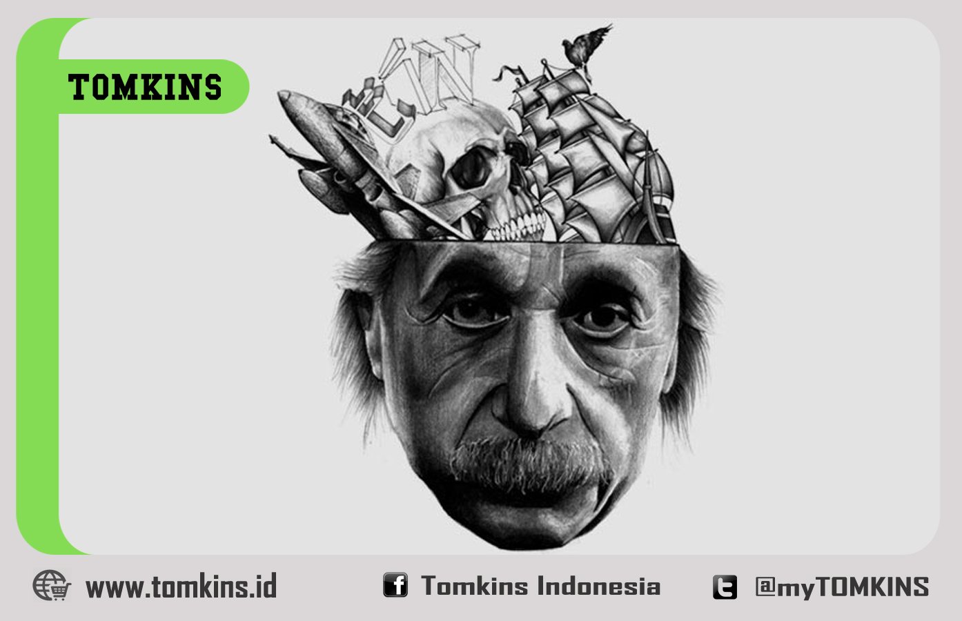 Detail Gambar Otak Albert Einstein Nomer 35