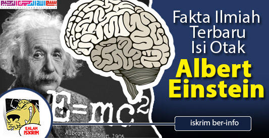 Detail Gambar Otak Albert Einstein Nomer 44