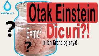 Detail Gambar Otak Albert Einstein Nomer 46