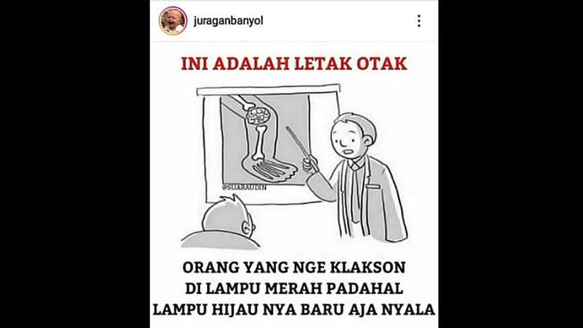 Detail Gambar Otak Di Dengkul Nomer 10