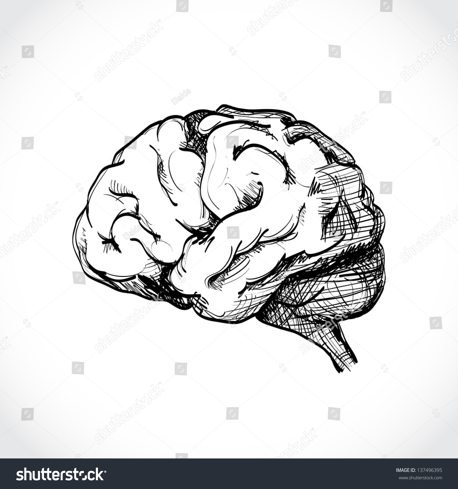 Detail Gambar Otak Hitam Putih Nomer 38