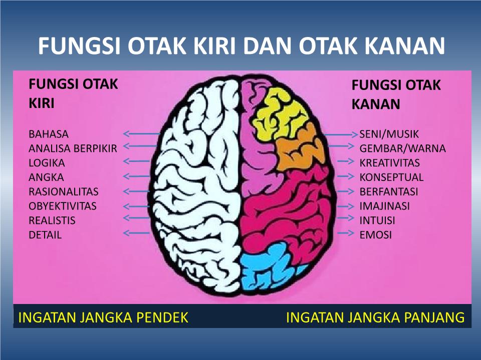 Detail Gambar Otak Kanan Dan Kiri Nomer 15