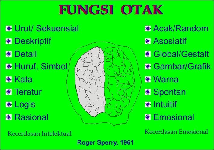 Detail Gambar Otak Kanan Dan Kiri Nomer 22