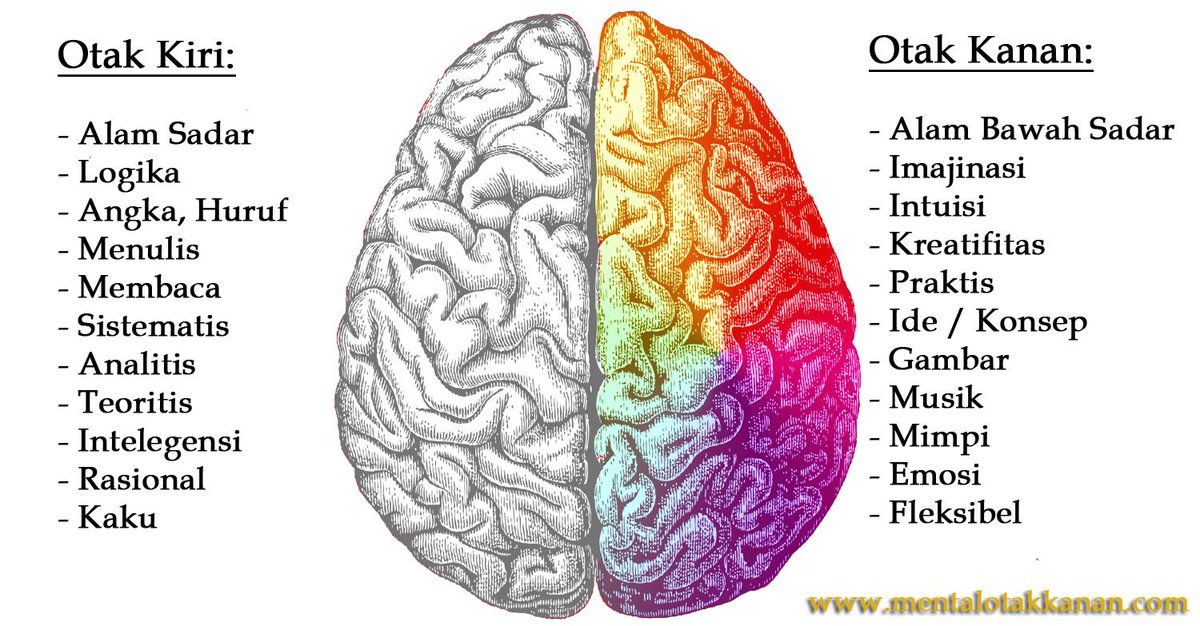 Detail Gambar Otak Kanan Dan Kiri Nomer 26