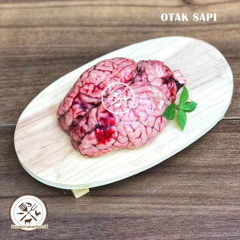 Detail Gambar Otak Sapi Nomer 39