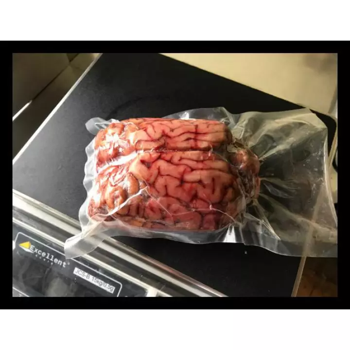 Detail Gambar Otak Sapi Nomer 42