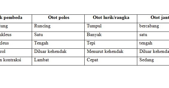 Detail Gambar Otot Lurik Jantung Dan Polos Nomer 42