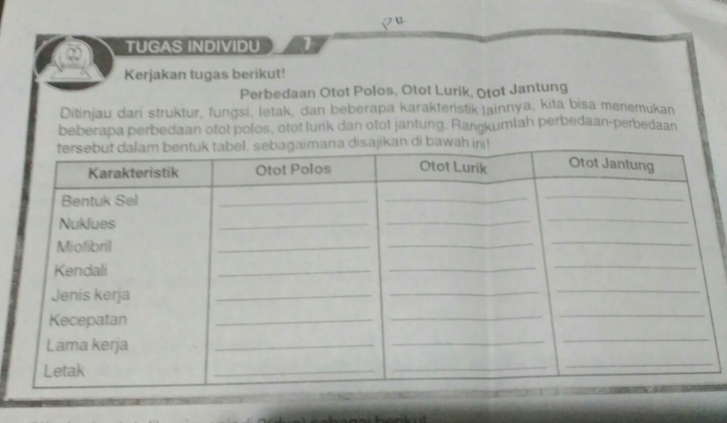 Detail Gambar Otot Polos Otot Lurik Otot Jantung Nomer 50