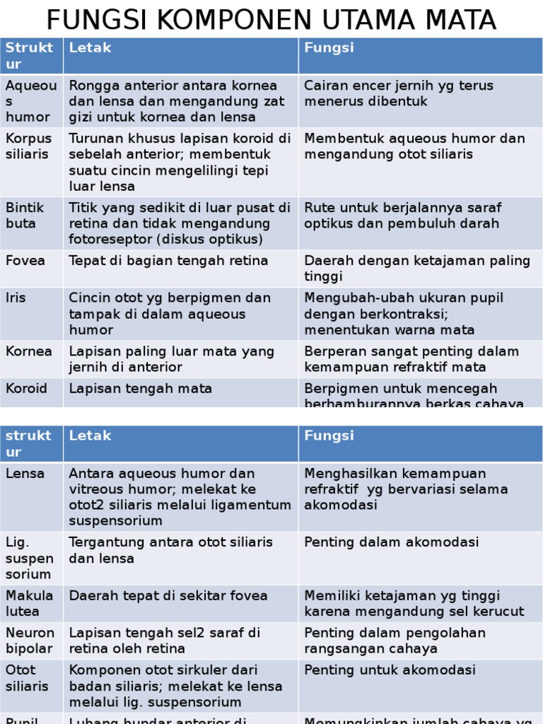 Detail Gambar Otot Siliaris Pada Mata Nomer 27