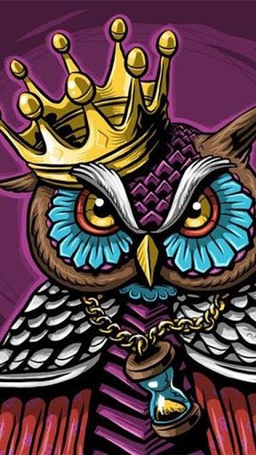 Detail Gambar Owl Keren Nomer 2