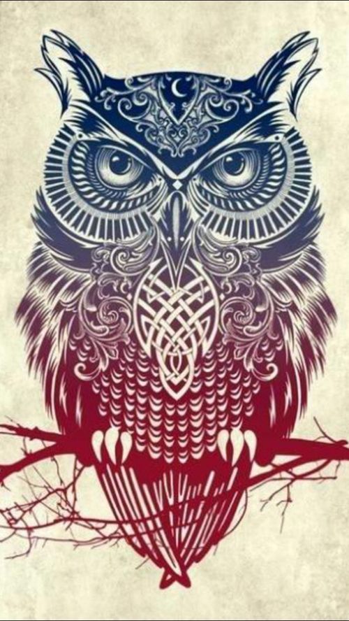 Detail Gambar Owl Keren Nomer 11