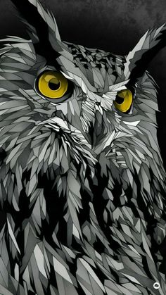 Detail Gambar Owl Keren Nomer 12