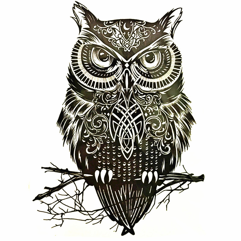 Detail Gambar Owl Keren Nomer 28