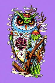 Detail Gambar Owl Keren Nomer 8