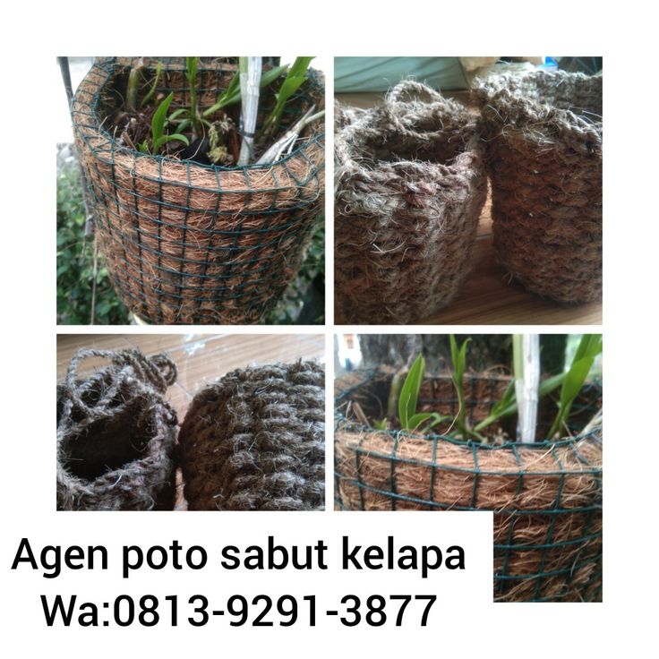 Detail Gambar Pada Pot Nomer 15