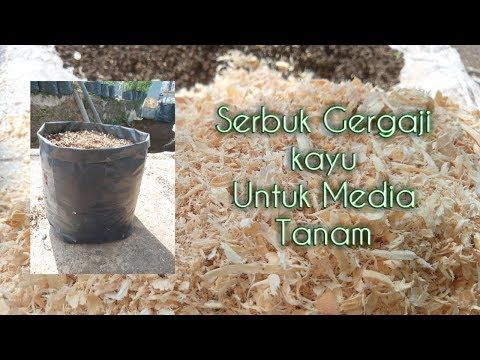 Detail Gambar Pada Pot Serbuk Kayu Nomer 11