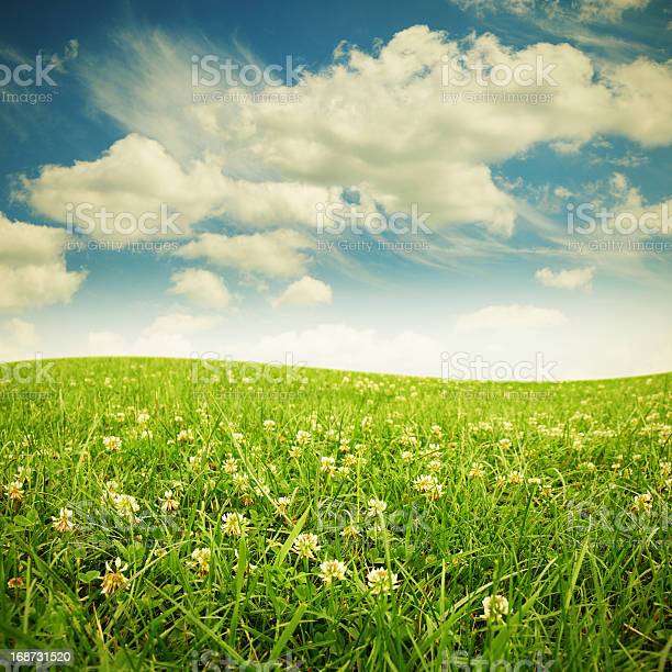 Detail Gambar Padang Rumput Hd Nomer 34
