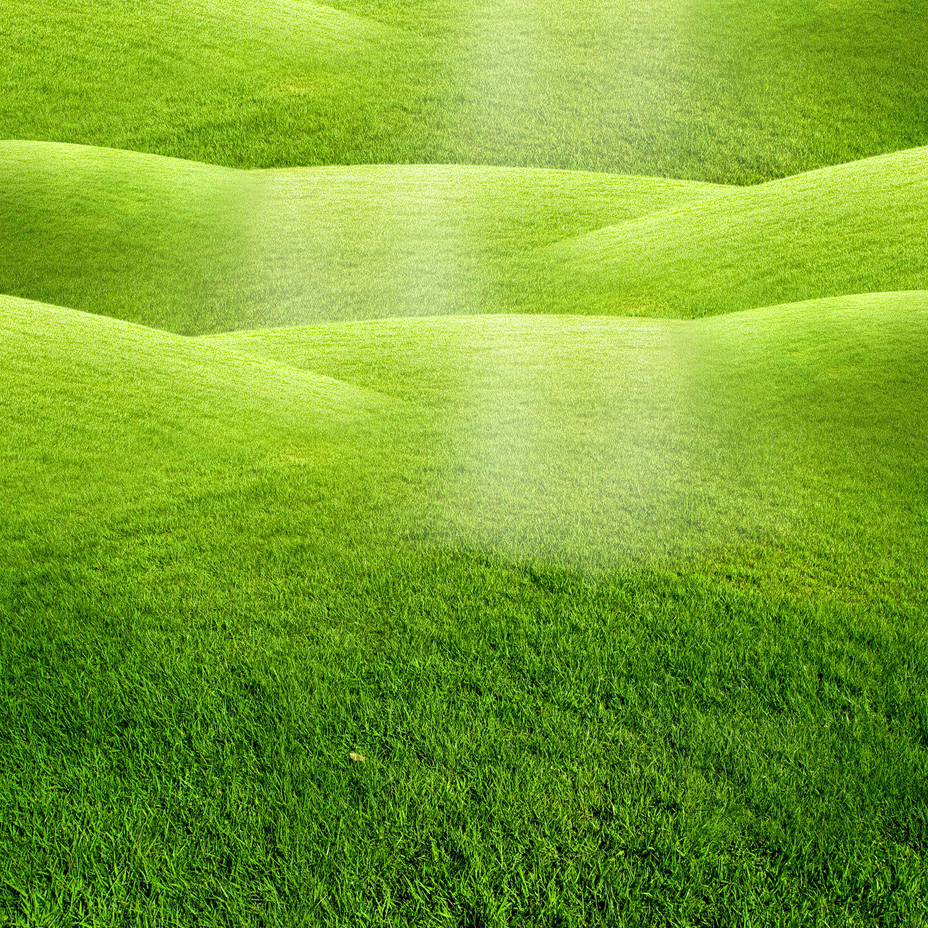 Detail Gambar Padang Rumput Hd Nomer 35