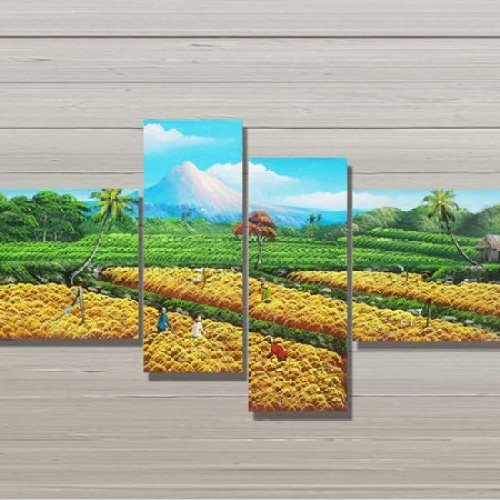 Detail Gambar Padi Menguning Di Sawah Nomer 52