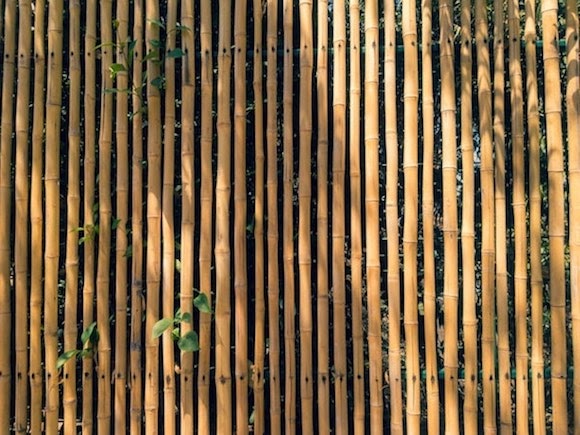 Detail Gambar Pagar Bambu Nomer 55
