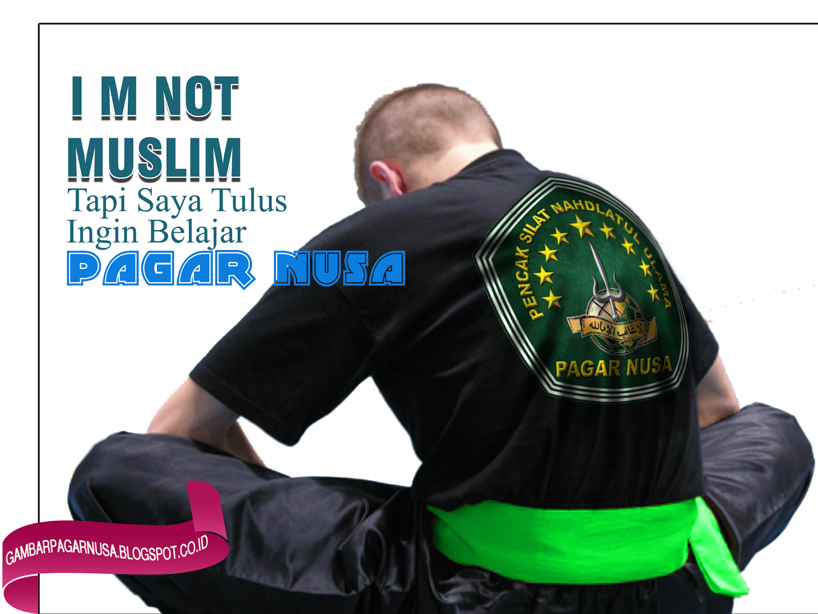 Detail Gambar Pagar Nusa Romantis Nomer 23
