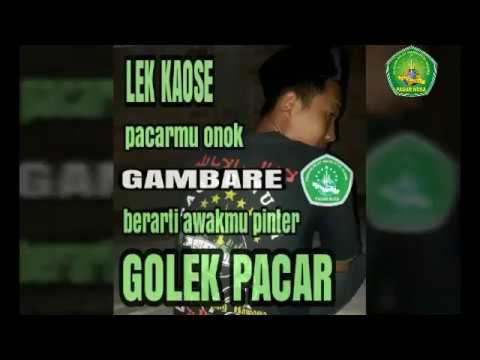 Detail Gambar Pagar Nusa Romantis Nomer 32