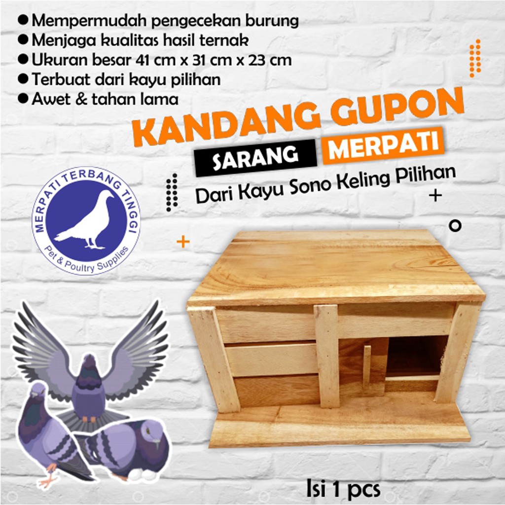 Detail Gambar Pagupon Burung Merpati Nomer 17