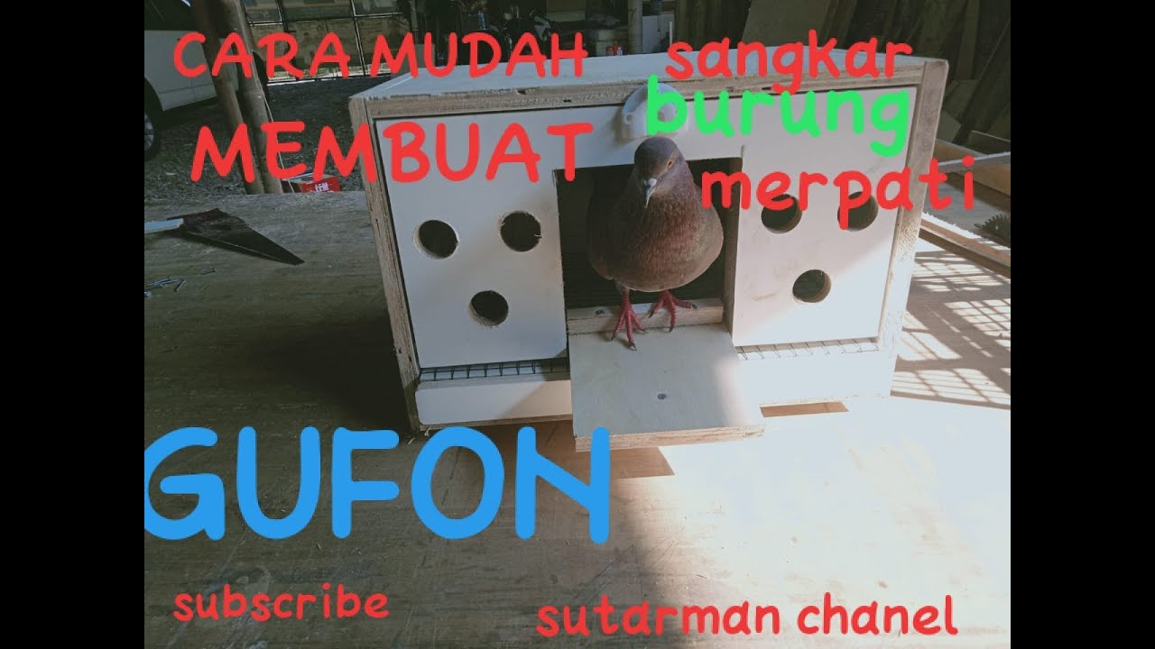 Detail Gambar Pagupon Burung Merpati Nomer 22