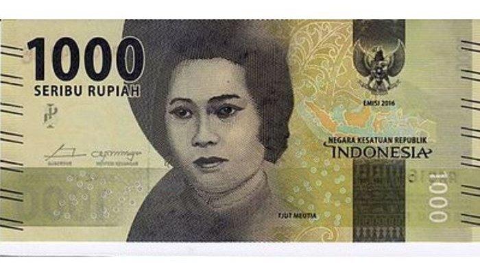 Detail Gambar Pahlawan Indonesia Cut Meutia Nomer 57