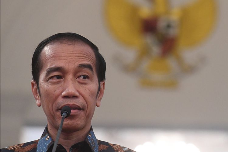 Detail Gambar Pak Jokowi Dodo Nomer 13