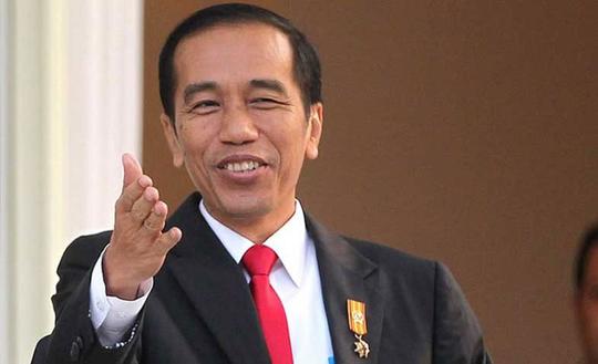 Detail Gambar Pak Jokowi Dodo Nomer 5