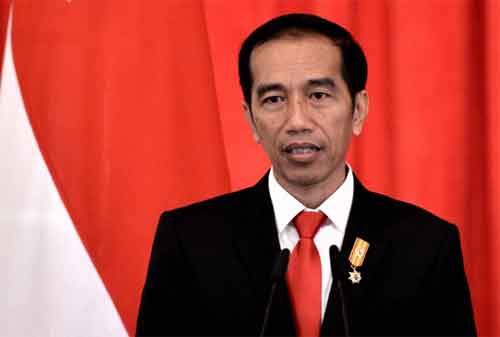 Detail Gambar Pak Jokowi Dodo Nomer 51