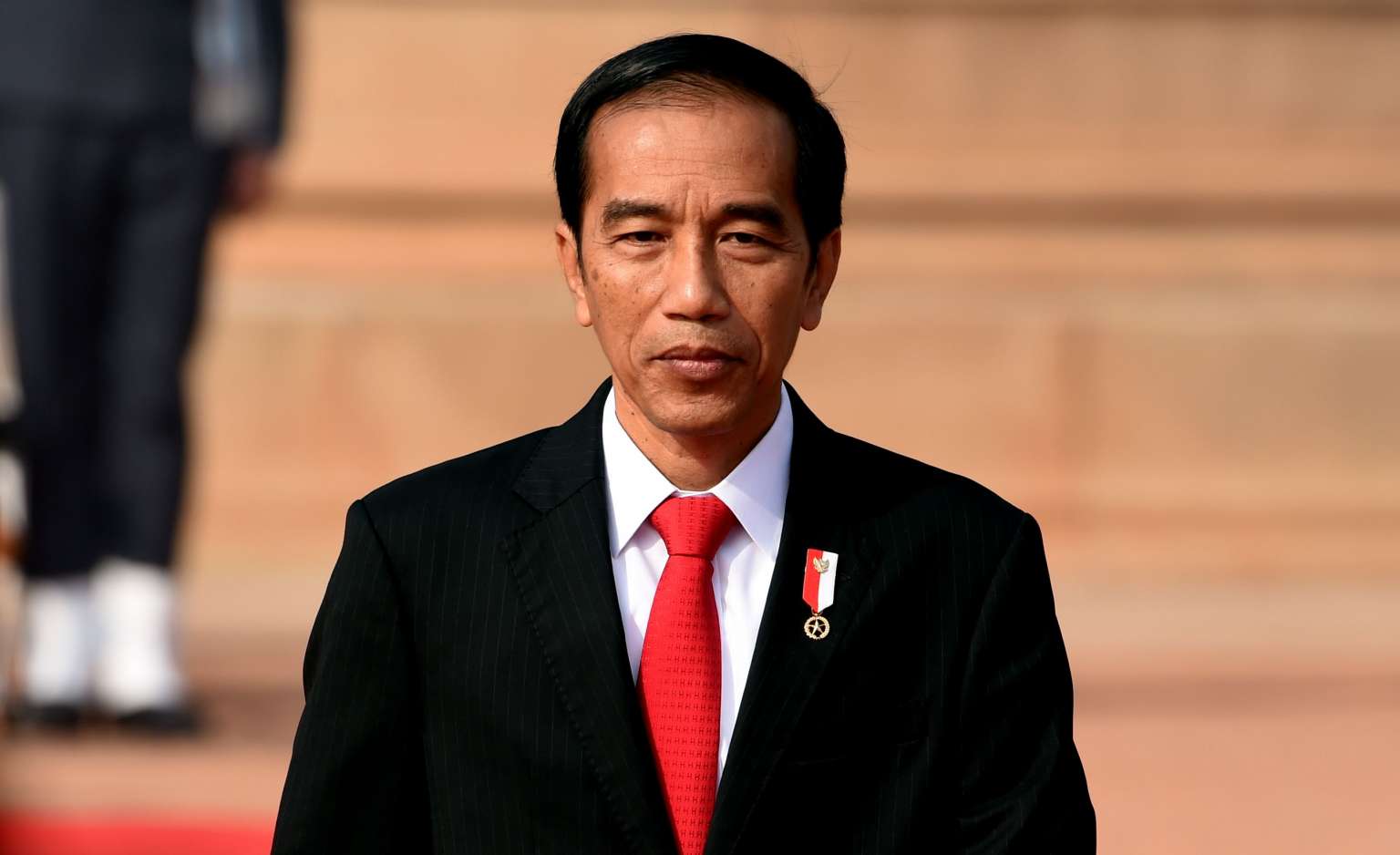 Detail Gambar Pak Jokowi Dodo Nomer 8