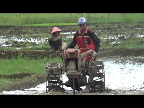 Detail Gambar Pak Tani Di Sawah Nomer 45