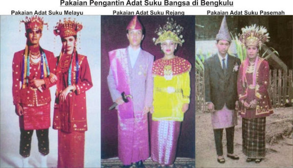 Detail Gambar Pakaian Adat Dan Asal Daerahnya Nomer 53