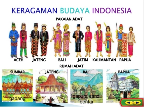 Detail Gambar Pakaian Adat Dan Asalnya Nomer 21