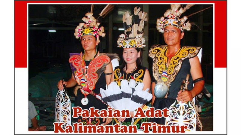 Detail Gambar Pakaian Adat Kalimantan Nomer 18