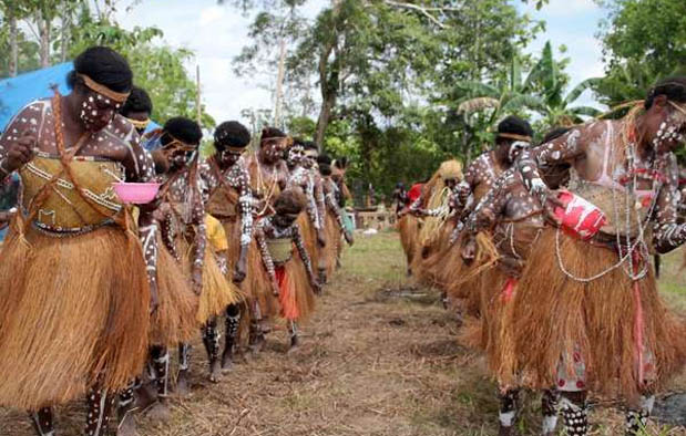 Detail Gambar Pakaian Adat Papua Barat Nomer 55