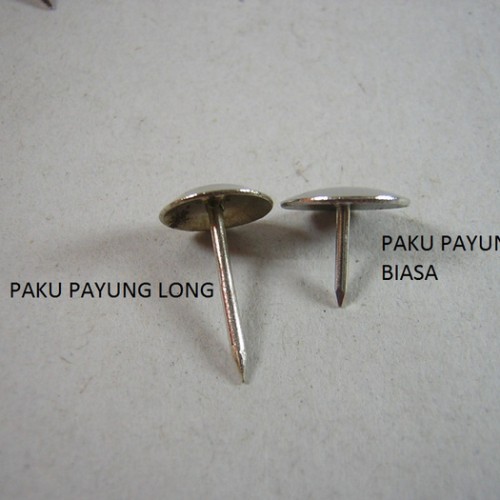 Detail Gambar Paku Payung Nomer 8